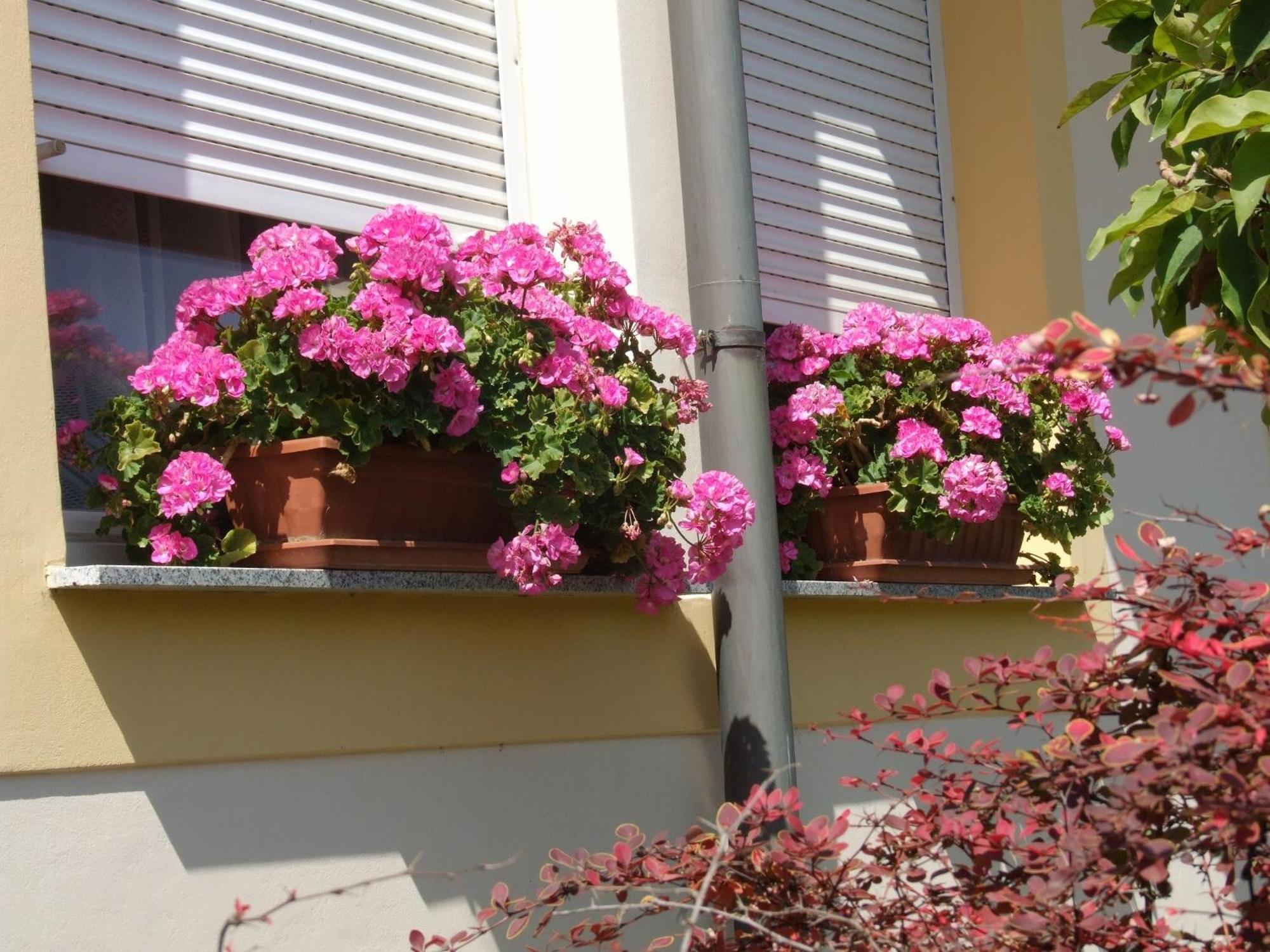 Apartment Revesz Harkany Exterior photo